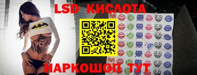 крисы Кандалакша