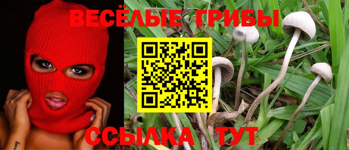 Псилоцибиновые грибы MAGIC MUSHROOMS Дубна