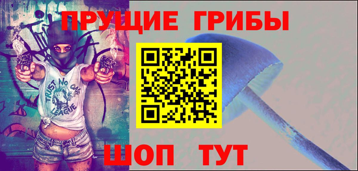 Галлюциногенные грибы Cubensis  Вход с VPN  Псилоцибиновые грибы Psilocybe  как найти   Дубна 